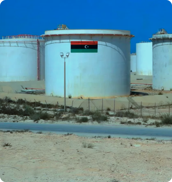 صورة المشروع